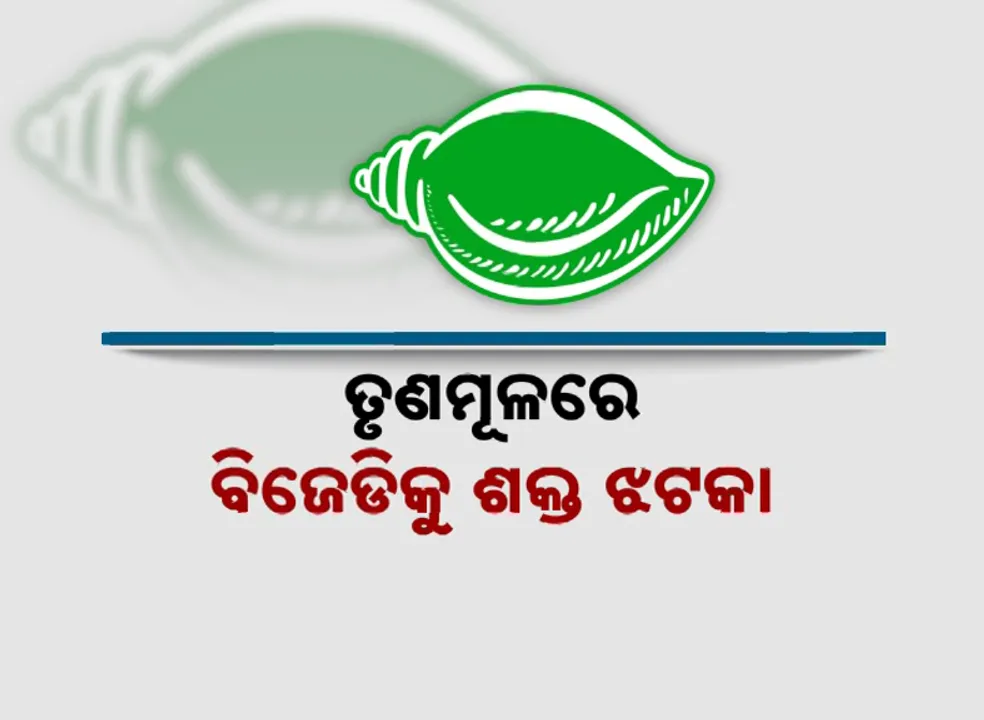  ତୃଣମୂଳରେ ବିଜେଡିକୁ ଶକ୍ତ ଝଟକା । ପଦଚ୍ୟୁତ ହେଲେ ପୌରାଧ୍ୟକ୍ଷ ।