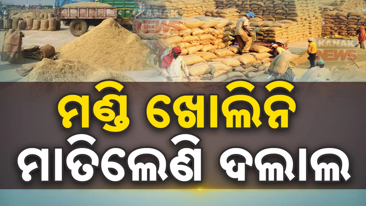  ମାଲକାନଗିରିରେ ମାତିଛନ୍ତି ଦଲାଲ; ମଣ୍ଡି ଖୋଲିନି, ହେଲେ ରାଜ୍ୟ ବାହାରକୁ ଚାଲାଣ ହେଉଛି ଧାନ