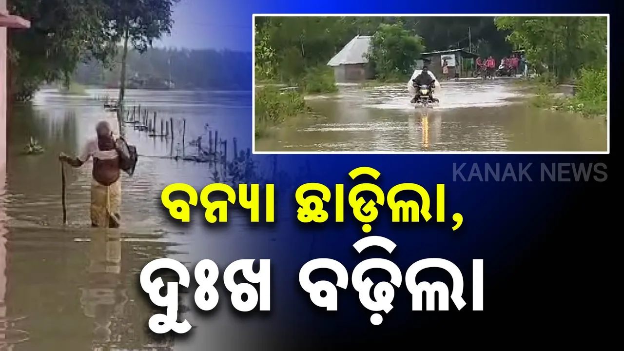  ବନ୍ୟା ଛାଡ଼ିଲା, ଦୁଃଖ ବଢ଼ିଲା; ଚିରା ପଲିଥିନ ତଳେ ଜୀବନ