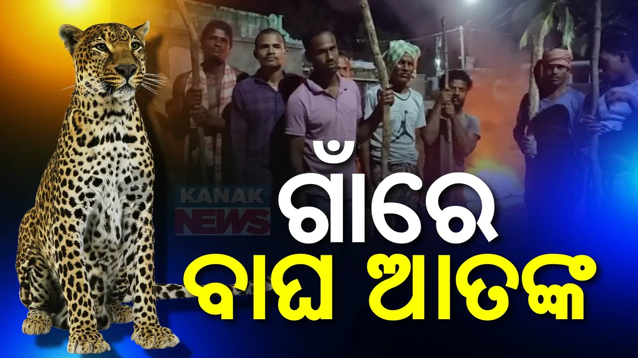  ଗାଁରେ ବାଘ ଆତଙ୍କ ! ସନ୍ଧ୍ୟା ହେଲେ ଘରୁ ବାହାରୁନାହାଁନ୍ତି ଲୋକେ