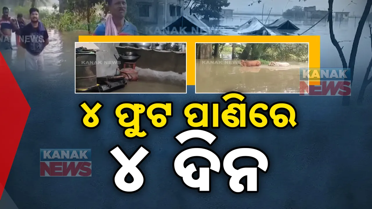  ଚାନ୍ଦବାଲି ଓ ଧାମନଗରରେ କଲବଲ କରୁଛି ବନ୍ୟା: ୪ ଦିନ ହେଲା ଗାଁରୁ ଛାଡୁନି ସାଳନ୍ଦୀ ଓ ଶାଖା ନଦୀର ବନ୍ୟାଜଳ