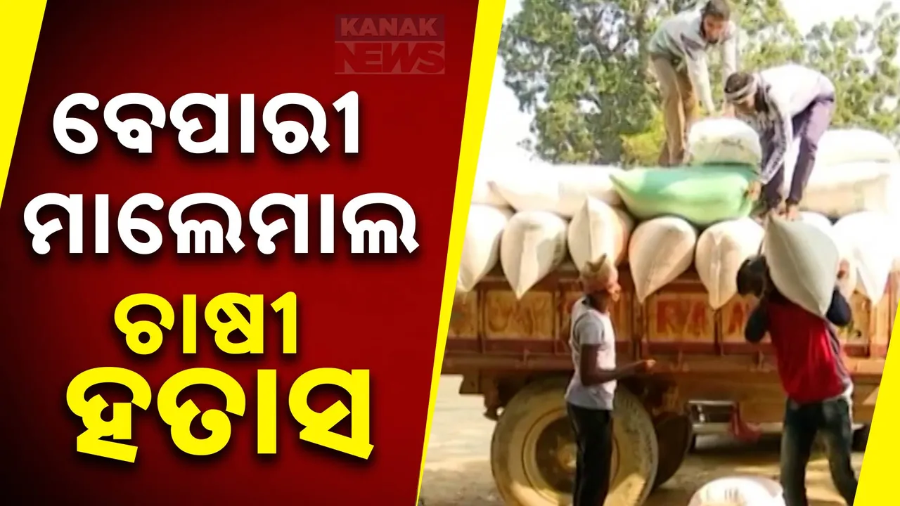  ମାଲେମାଲ ବେପାରୀ, କ୍ଷତି ସହୁଛି ଚାଷୀ : ମଣ୍ଡି ଆରମ୍ଭ ନ ହେଉଣୁ ଧାନର ଅଭାବୀ ବିକ୍ରି
