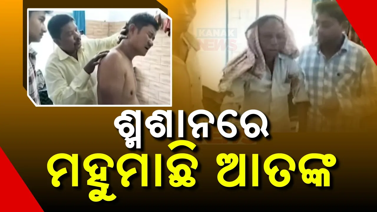  ଶବଦାହ ବେଳେ ଶ୍ମଶାନରେ ମହୁମାଛି ଆତଙ୍କ । ଆକ୍ରମଣରେ ୪୦ରୁ ଅଧିକ ଆହତ