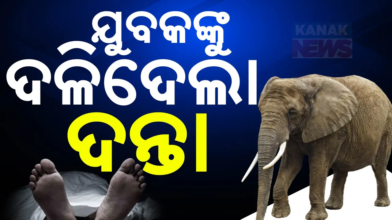  ହାତୀ ଆକ୍ରମଣରେ ଚାଲିଗଲା ଯୁବକଙ୍କ ଜୀବନ: କାମାକ୍ଷାନଗର ପୂର୍ବାଞ୍ଚଳ ରେଞ୍ଜ କୋଟ ଗ୍ରାମରେ ଅଭାବନୀୟ ଘଟଣା