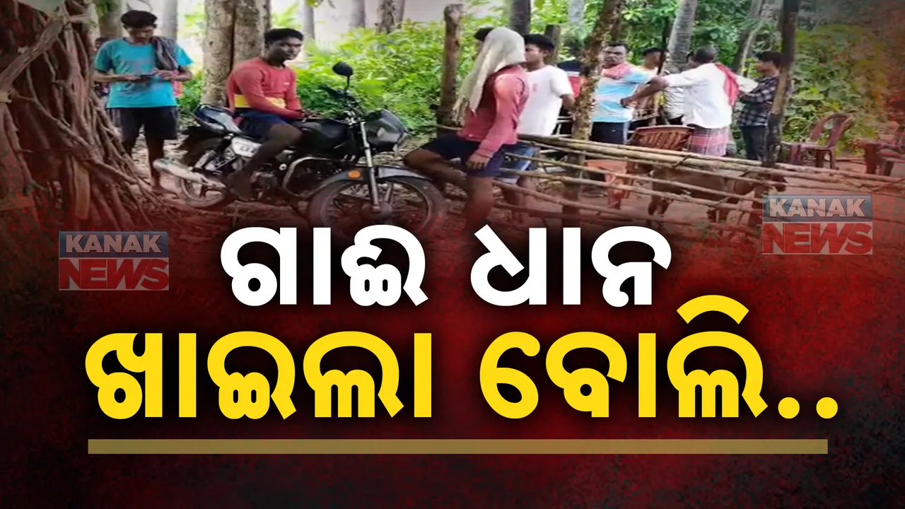  ଗାଈ ଧାନ ଖାଇବାକୁ ନେଇ ଗଡ଼ିଲା ମୁଣ୍ଡ । ପୁତୁରାର ଶାବଳ ମାଡ଼ରେ ଦାଦାର ମୃତ୍ୟୁ ।