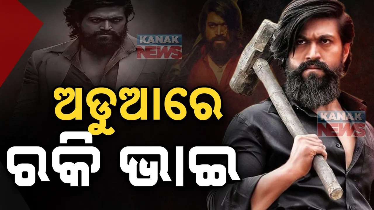  ଅଡୁଆରେ ରକି ଭାଇ । ବିବାଦରେ ଫସିଲା ୩୦୦ କୋଟିର ଫିଲ୍ମ ‘ଟକ୍ସିକ୍’ । ସୁଟିଂ ସେଟ୍ ପାଇଁ ସବୁ ନାଟ