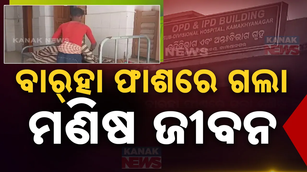  ବାରହା ଜାଲରେ ଗଲା ମଣିଷ ଜୀବନ ; ତଦନ୍ତ କରୁଛି ପୋଲିସ ଓ ବନ ବିଭାଗ