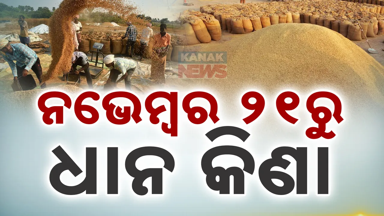  ନଭେମ୍ବର ତୃତୀୟ ସପ୍ତାହରେ ଖୋଲିବ ମଣ୍ଡି : ମନ୍ତ୍ରୀଙ୍କ ବୟାନ ମଣ୍ଡି ଜଗିବେ ବିଜେପି କୃଷକ ମୋର୍ଚ୍ଚା