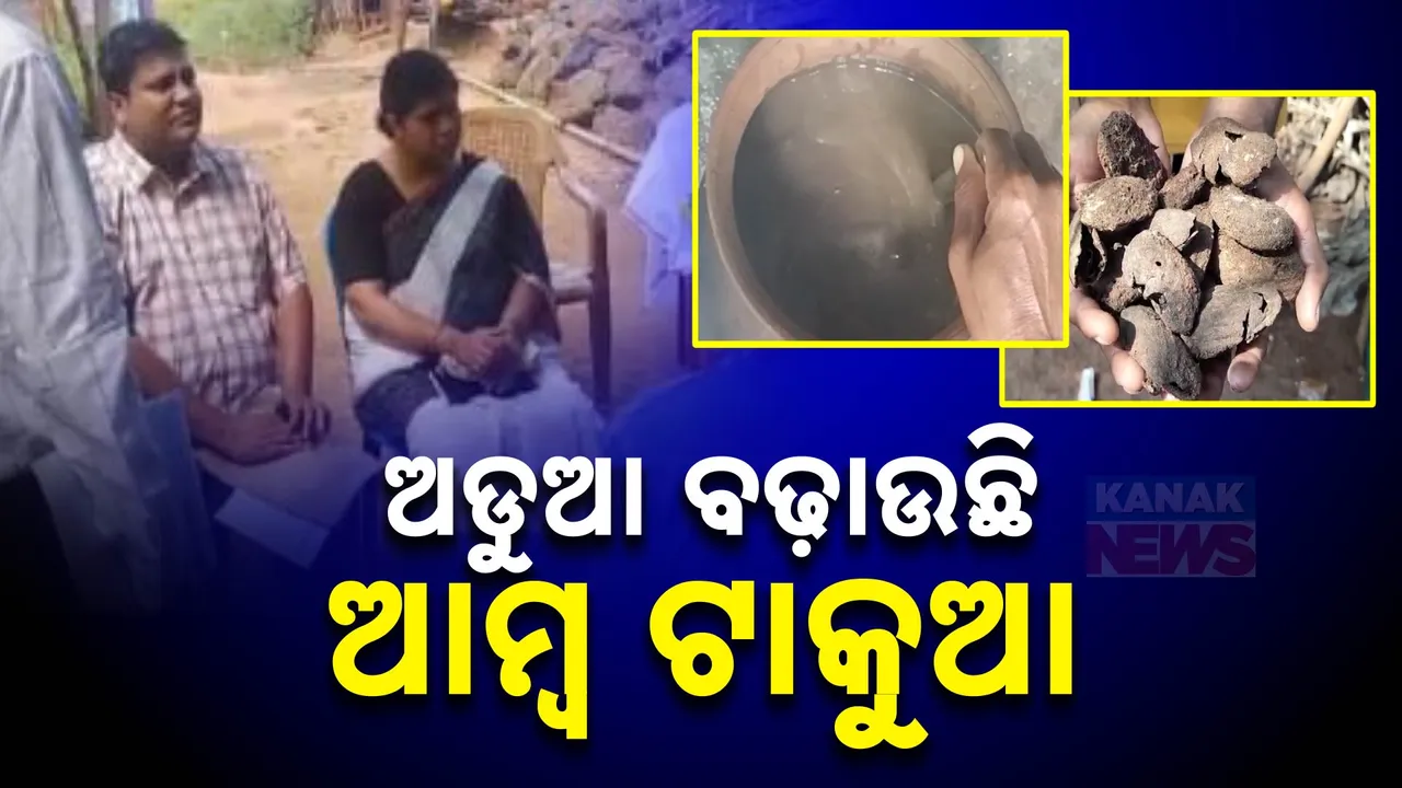  ଆମ୍ବ ଟାକୁଆକୁ ନେଇ ରାଜନୈତିକ ବୟାନବାଜି ଜାରି । ସରକାରଙ୍କୁ ଘେରି ବର୍ଷିଲେ ବିରୋଧୀ । ଜବାବ ଦେଲେ ମନ୍ତ୍ରୀ