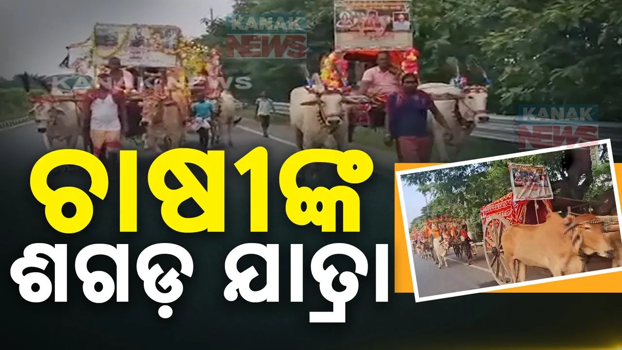  ଶଗଡ ଗାଡିରେ ଚାଷୀଙ୍କ ଯାତ୍ରା । ରଙ୍ଗ ବେରଙ୍ଗର ଶଗଡ ସଜାଇ ବାବା ହରିସହଦେବଙ୍କ ଦର୍ଶନ କରିଛନ୍ତି ଚାଷୀ