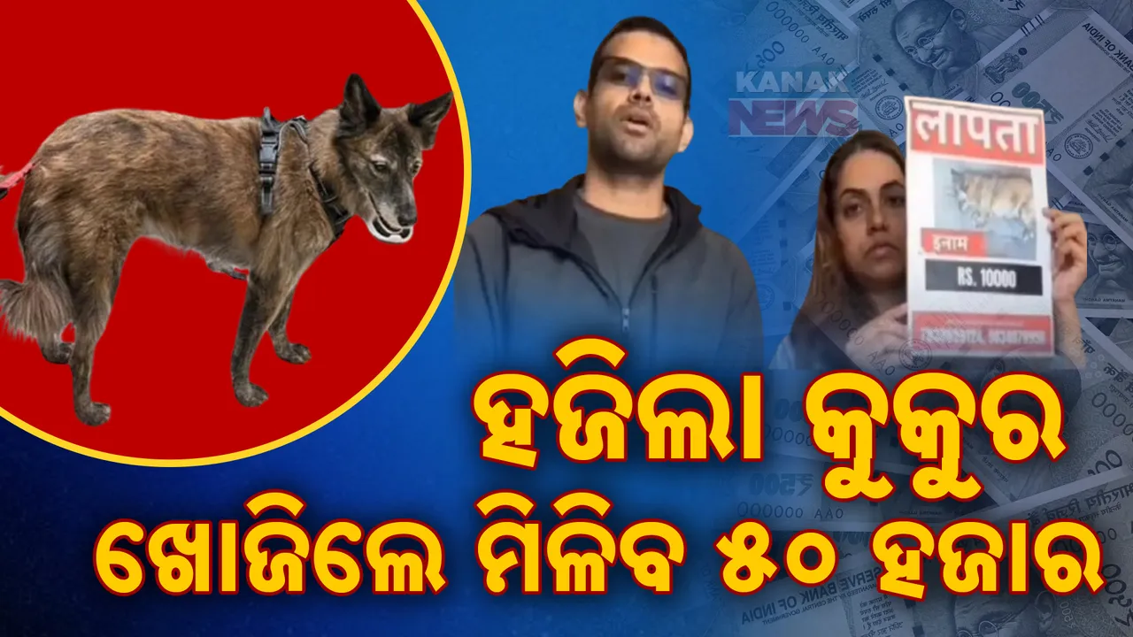  ୫ ଷ୍ଟାର୍ ହୋଟେଲରୁ ହଜିଲା କୁକୁର । ମାଲିକ ଲଗାଇଲେ ନିଖୋଜ ପୋଷ୍ଟର୍ । ଖୋଜିଲେ ମିଳିବ ୫୦ ହଜାର