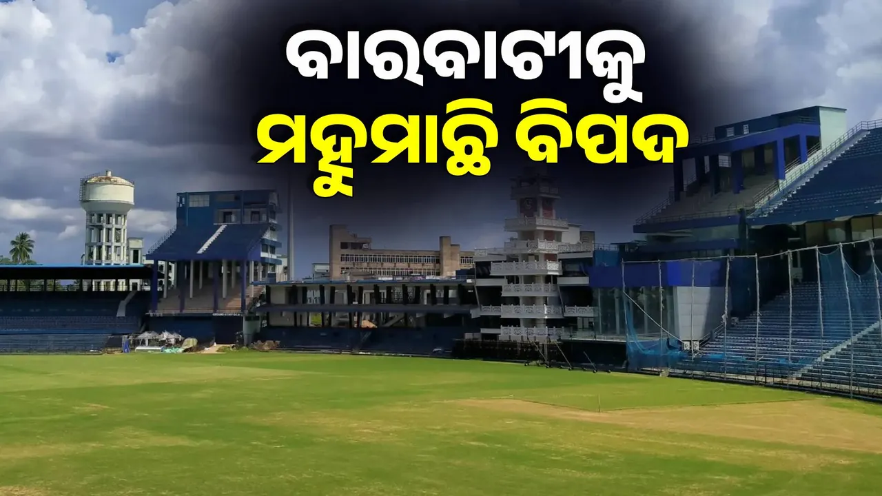  ବାରବାଟୀକୁ ବିପଦ ମହୁମାଛି । ଭାରତ-ଇଂଲଣ୍ଡ ମ୍ୟାଚ ପୂର୍ବରୁ ବଢିଲା ଭୟ ।