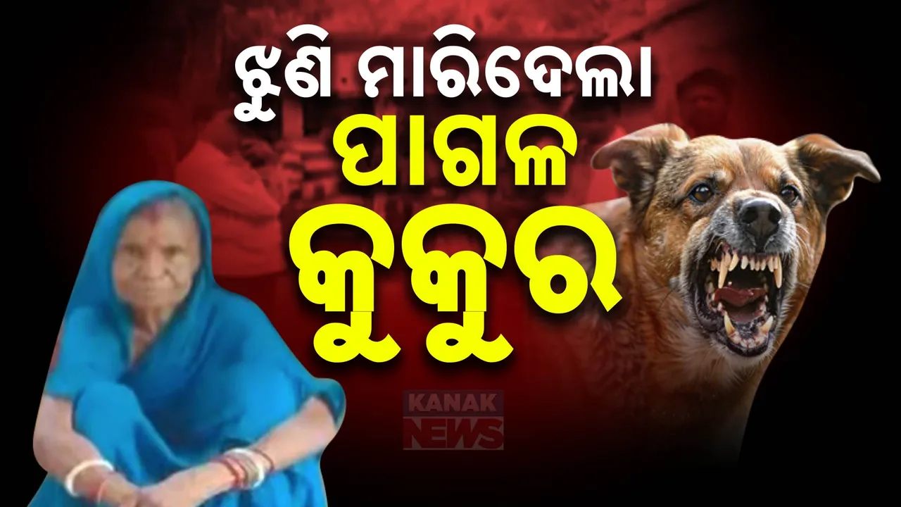  ଘରେ ପଶି ବୃଦ୍ଧାଙ୍କୁ ଝୁଣି ପକାଇଲା କୁକୁର ; ଘଟଣାସ୍ଥଳରେ ହିଁ ଚାଲିଗଲା ଚାଲିଗଲା ଜୀବନ