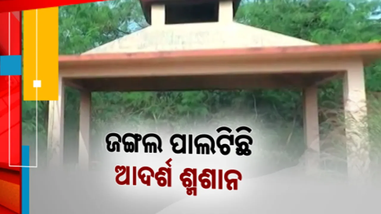  ଆଦର୍ଶ ଶ୍ମଶାନ ପାଲଟିଛି ଅଳିଆ ଗାଡ଼ିର ପାର୍କିଂ ସ୍ଥଳ: ରକ୍ଷଣାବେକ୍ଷଣ ଅଭାବରୁ ଶ୍ମଶାନ ହେଲାଣି ବଣଜଙ୍ଗଲ