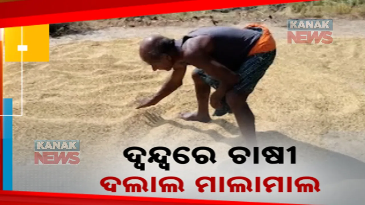  ଧାନ ଅମଳ ସରିଲାଣି ହେଲେ ଖୋଲିନି ମଣ୍ଡି । ମିଲର୍ସଙ୍କ ଦାବି ଯୋଗୁଁ ଦ୍ୱନ୍ଦ୍ୱରେ କଳାହାଣ୍ଡିର ଚାଷୀ. ଫାଇଦା ଉଠାଉଛନ୍ତି ଦଲାଲ