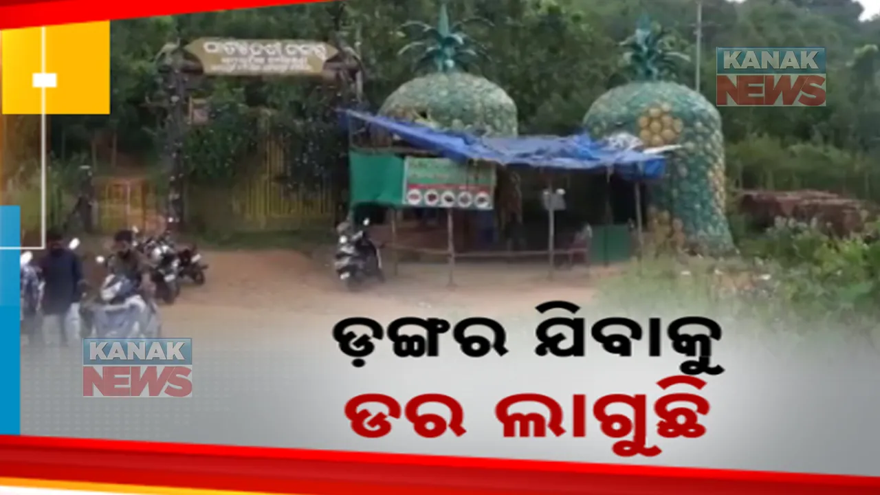  ଲକ୍ଷାଧିକ  ଟଙ୍କା ଖର୍ଚ୍ଚ ପରେ ବି ଅବହେଳିତ କୋରାପୁଟ ପାଟଦେବୀ ଡଙ୍ଗର । ପାଲଟିଛି ଅସାମାଜିକଙ୍କ ଆଡ୍ଡାସ୍ଥଳୀ, ମୁହଁ ଫେରାଉଛନ୍ତି ପର୍ଯ୍ୟଟକ