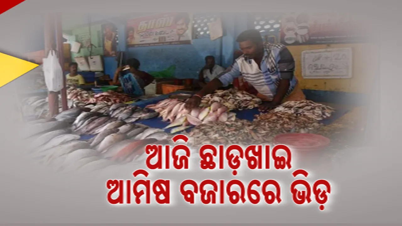  ଆଜି ଜମିବ ଆମିଷ ଆସର; ସକାଳୁ ସକାଳୁ ମାଛ ବଜାରରେ ପ୍ରବଳ ଭିଡ