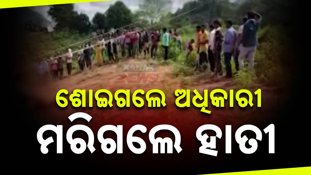  ହାତୀ ମୃତ୍ୟୁ ଘଟଣାକୁ ନେଇ ବନ୍ୟପ୍ରାଣୀ ବିଶେଷଜ୍ଞ କ୍ଷୁବ୍ଧ । ପ୍ରାଥମିକ ରିପୋର୍ଟ ଦେଖି ଅଡୁଆରେ ମନ୍ତ୍ରୀ ସଚିବ  ।