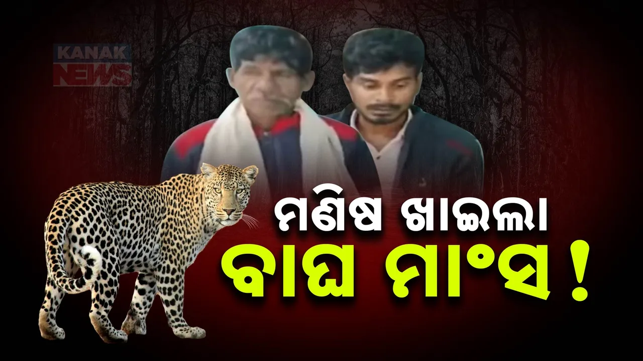  ନୂଆପଡ଼ା କୋମନାରେ ଚାଞ୍ଚଲ୍ୟ; ମଣିଷ ଖାଇଛି ବାଘ ମାଂସ