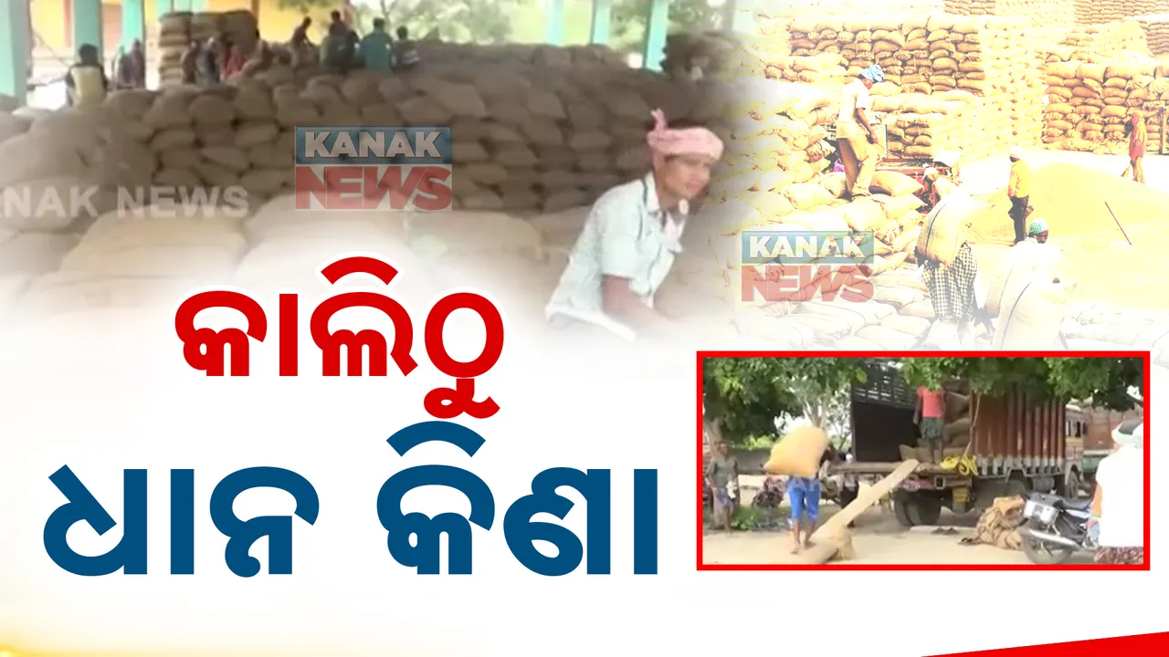  କାଲିଠୁ ଧାନକିଣା ; ବରଗଡ ସୋହେଲାରୁ ଆରମ୍ଭ