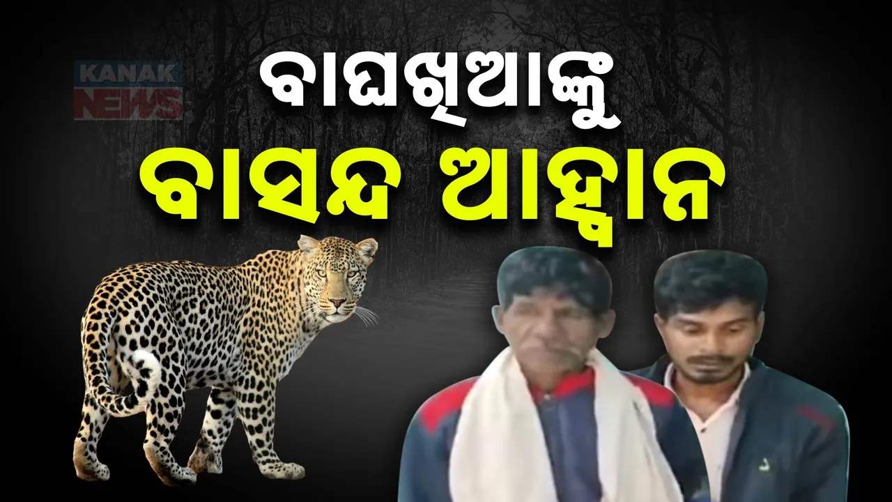  ଦିନେ ଛାଲ ପାଇଁ ବାଘକୁ ଶିକାର କରୁଥିଲା ମଣିଷ । ବଦଳିଲା ସ୍ଥିତି, କଲରାପତରିଆ ମାରି ମାଂସ ଖାଇଲା । ପିସିସିଏଫ କହିଲେ,ଏମାନଙ୍କୁ ପାରିହେବନି , ସାମାଜିକ ବାସନ୍ଦ କର