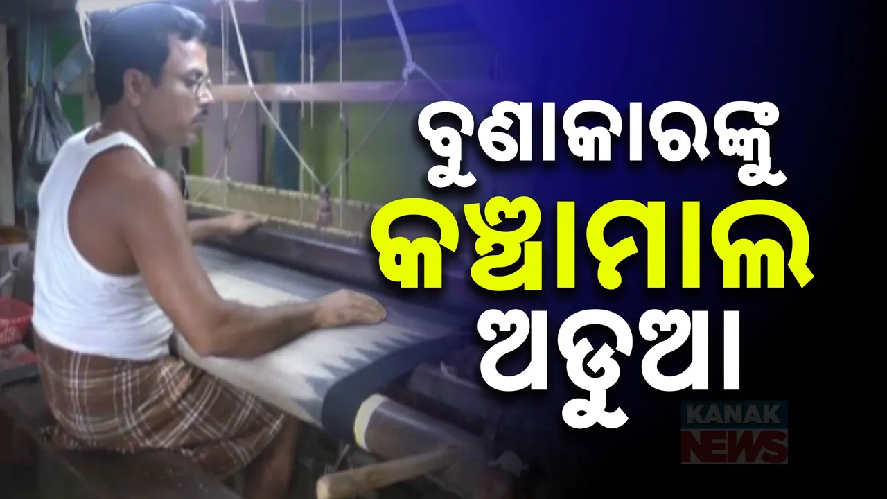  ସମସ୍ୟା ଘେରରେ ବୁଣାକାର। ଟସର କୋଷାର ଦରବୃଦ୍ଧି ବୁଣାକାରଙ୍କୁ ଅଡୁଆ