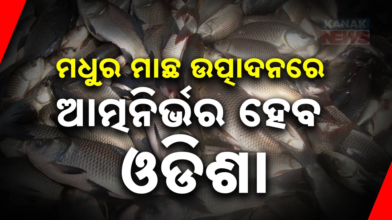  ମଧୁର ମାଛ ଉତ୍ପାଦନରେ ଆତ୍ମନିର୍ଭର ହେବ ଓଡିଶା । ୧୦୦ କୋଟି ଟଙ୍କାରେ ତିଆରି ହେବ ଆକ୍ୱା ପାର୍କ ।