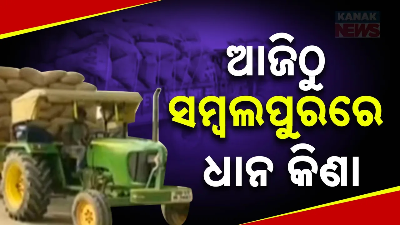  ଆଜିଠୁ ସମ୍ବଲପୁରରେ ଉଠିବ ଧାନ ; ଧାନ କ୍ୱିଣ୍ଟାଲ ପିଛା ୩୧ ଶହ ଟଙ୍କା ପାଇବେ ଚାଷୀ