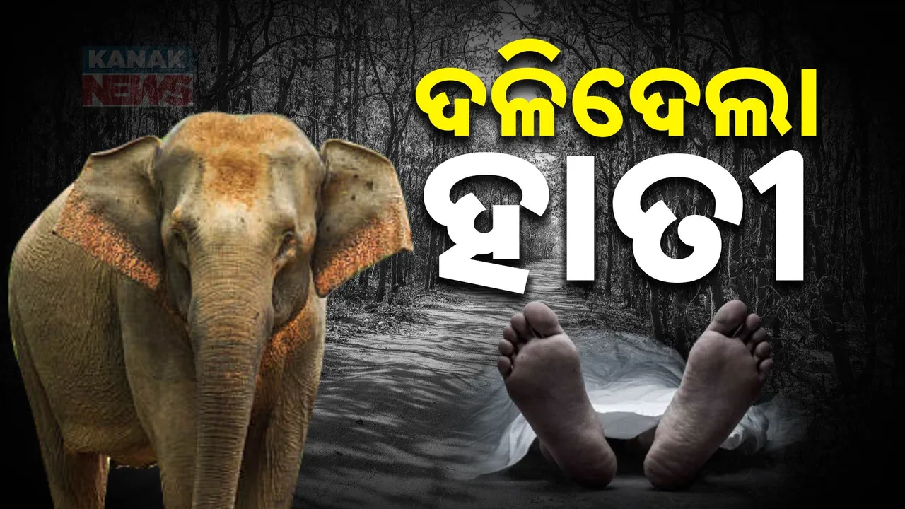  ବାଲେଶ୍ବରରେ ହାତୀଙ୍କ ଉତ୍ପାତ । ପଶ୍ଚିମବଙ୍ଗକୁ ୫୧ ଟିକିଆ ହାତୀ ପଲ ଯିବା ବେଳେ ଯୁବକଙ୍କୁ ପାଦରେ ଦଳିଦେଲେ
