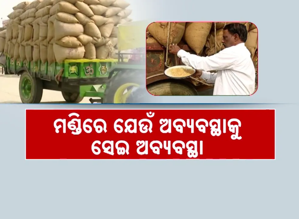  ସମ୍ବଲପୁର ଜିଲ୍ଲାରେ ଉଠିଲା ଧାନ । ମଣ୍ଡିରେ ଯେଉଁ ଅବ୍ୟବସ୍ଥାକୁ ସେଇ ଅବ୍ୟବସ୍ଥା ।