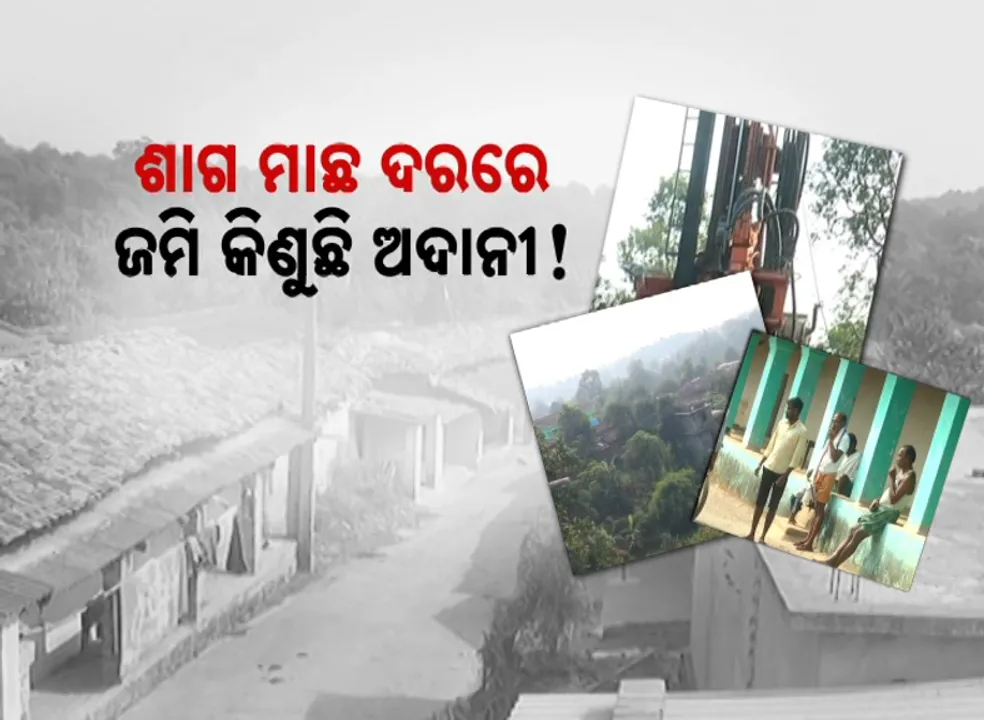  ସୁନ୍ଦରଗଡରେ ଖଣି, ବଲାଙ୍ଗିରରେ ଜଙ୍ଗଲ । ଶାଗ ମାଛ ଦରରେ ଜମି କିଣୁଛି ଅଦାନୀ !