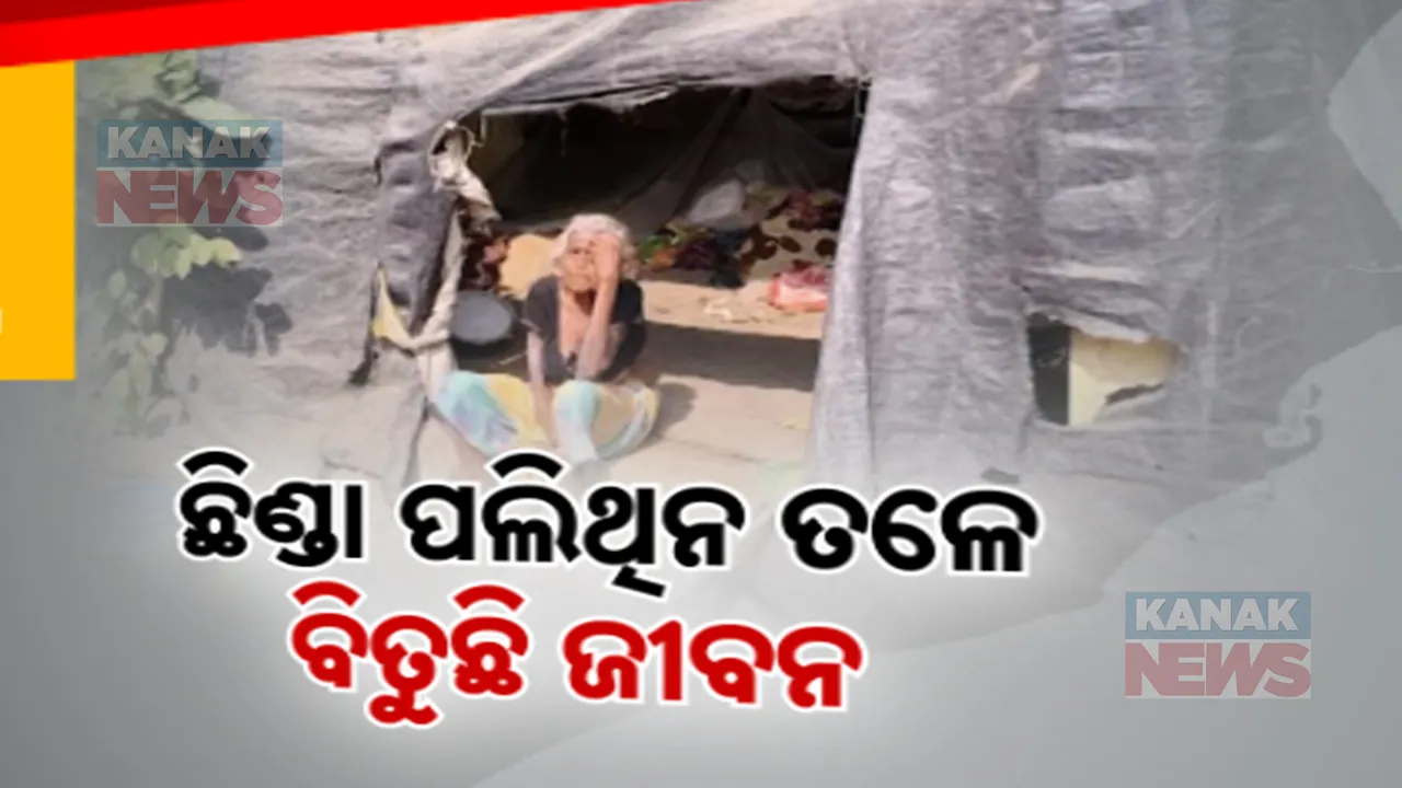  ଛିଣ୍ଡା ପଲିଥିନ ତଳେ ବିତୁଛି ଜୀବନ; ୨୦ ବର୍ଷ ପରେ ବି ମିଳିପାରିଲାନି ଖଣ୍ଡେ ଘର