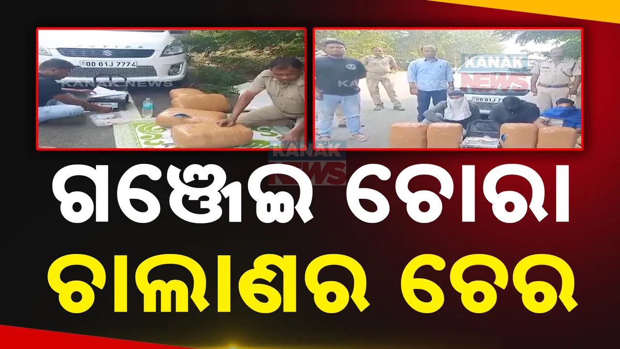  ସାରା ରାଜ୍ୟରେ ଗଞ୍ଜେଇ ଚୋରା ଚାଲାଣର ଚେର । ବ୍ରହ୍ମପୁରରେ ମାଫିଆଙ୍କୁ ଗୋଡାଇ ଧରିଲା ଅବକାରୀ ବିଭାଗ ।