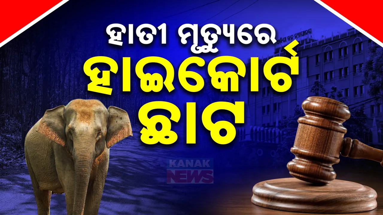  ଗଜରାଜଙ୍କ ମୃତ୍ୟୁକୁ ନେଇ ଅସନ୍ତୋଷ ଝାଡିଲେ ହାଇକୋର୍ଟ । ପାଂଚ ମାସ ମଧ୍ୟରେ ରାଜ୍ୟରେ ମଲେଣି ୪୦ ହାତୀ ..
