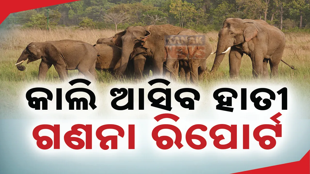  ୫ ମାସରେ ମଲେଣି ୪୦ ହାତୀ ଓ ୫ କଲରାପତରିଆ ବାଘ । ବିଧାନସଭାରେ ତଥ୍ୟ ରଖିଲେ ଜଙ୍ଗଲ ଓ ପରିବେଶ ମନ୍ତ୍ରୀ, କାଲି ଆସିବ ଶୀତକାଳୀନ ହାତୀ ଗଣନା ରିପୋର୍ଟ