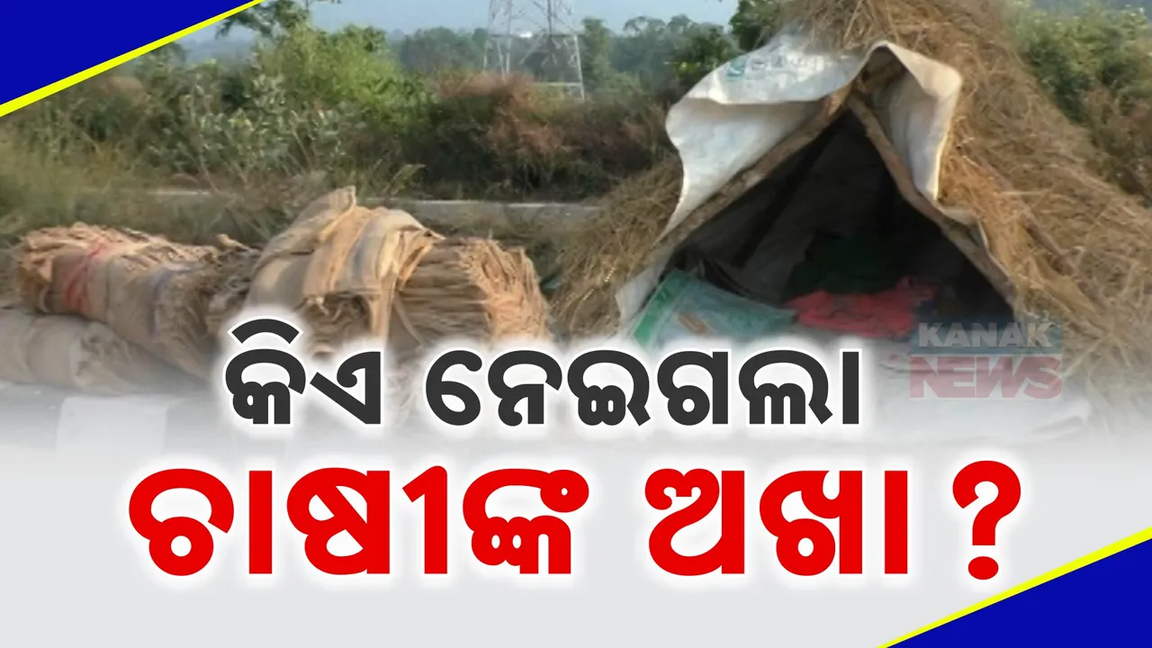  ମଣ୍ଡିକୁ ଆସିପାରୁନି ଅମଳ ଧାନ । ଅଖା ମିଳିନଥିବାରୁ ରାସ୍ତାକଡରେ ଧାନ ଗଦା କରୁଛନ୍ତି ଚାଷୀ, ମଣ୍ଡିରେ ଦେଖା ମିଳୁନାହାଁନ୍ତି ମିଲର