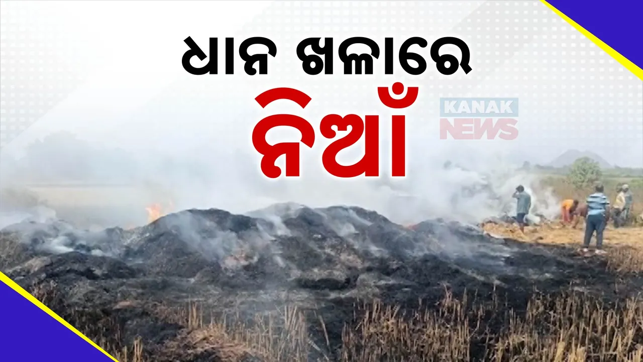  ଅଙ୍ଗାର ଭିତରୁ ସ୍ବପ୍ନ ସାଉଁଟୁଛନ୍ତି ଚାଷୀ ; ଆଖି ଆଗରେ ଜଳି ପାଉଁଶ ହୋଇଗଲା ବର୍ଷକର କଷ୍ଟ