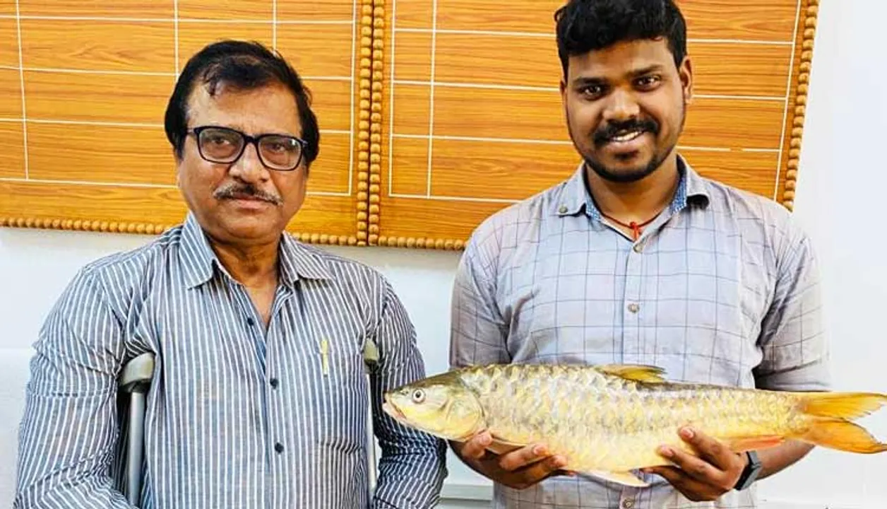  ଦକ୍ଷିଣ ଓଡିଶାରୁ ଦୁଇଟି ମହାସିର୍ ପ୍ରଜାତି ମାଛର ପ୍ରଥମ ଆବିଷ୍କାର । ଯାହାକୁ କୁହାଯାଏ ‘ଭାରତୀୟ ନଦୀର ରାଜା’