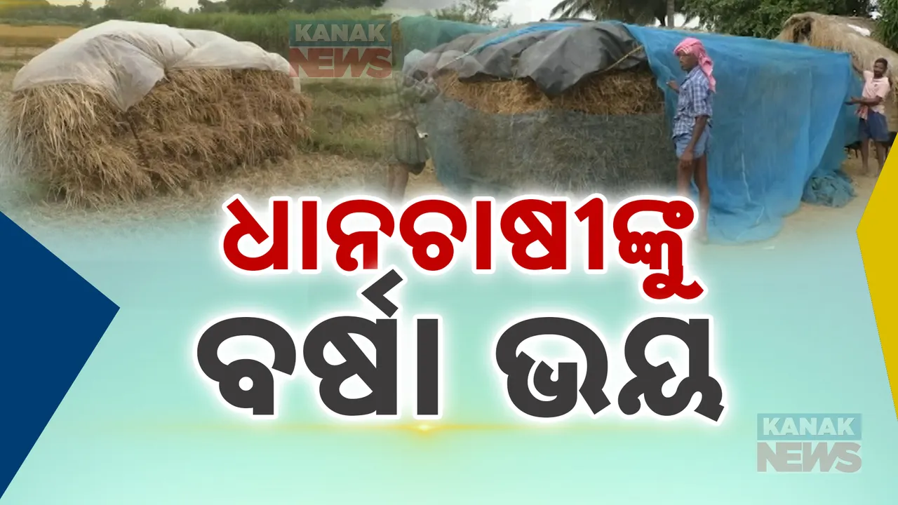  ଓଡ଼ିଶା ଚାଷୀଙ୍କ ପିଛା ଛାଡୁନି ପ୍ରାକୃତିକ ବିପର୍ଯ୍ୟୟ । ବାତ୍ୟା ଦାନା ପରେ ଚାଷୀଙ୍କୁ ଡରାଇଲା ସାମୁଦ୍ରିକ ଝଡ଼ ଫେଙ୍ଗାଲ.