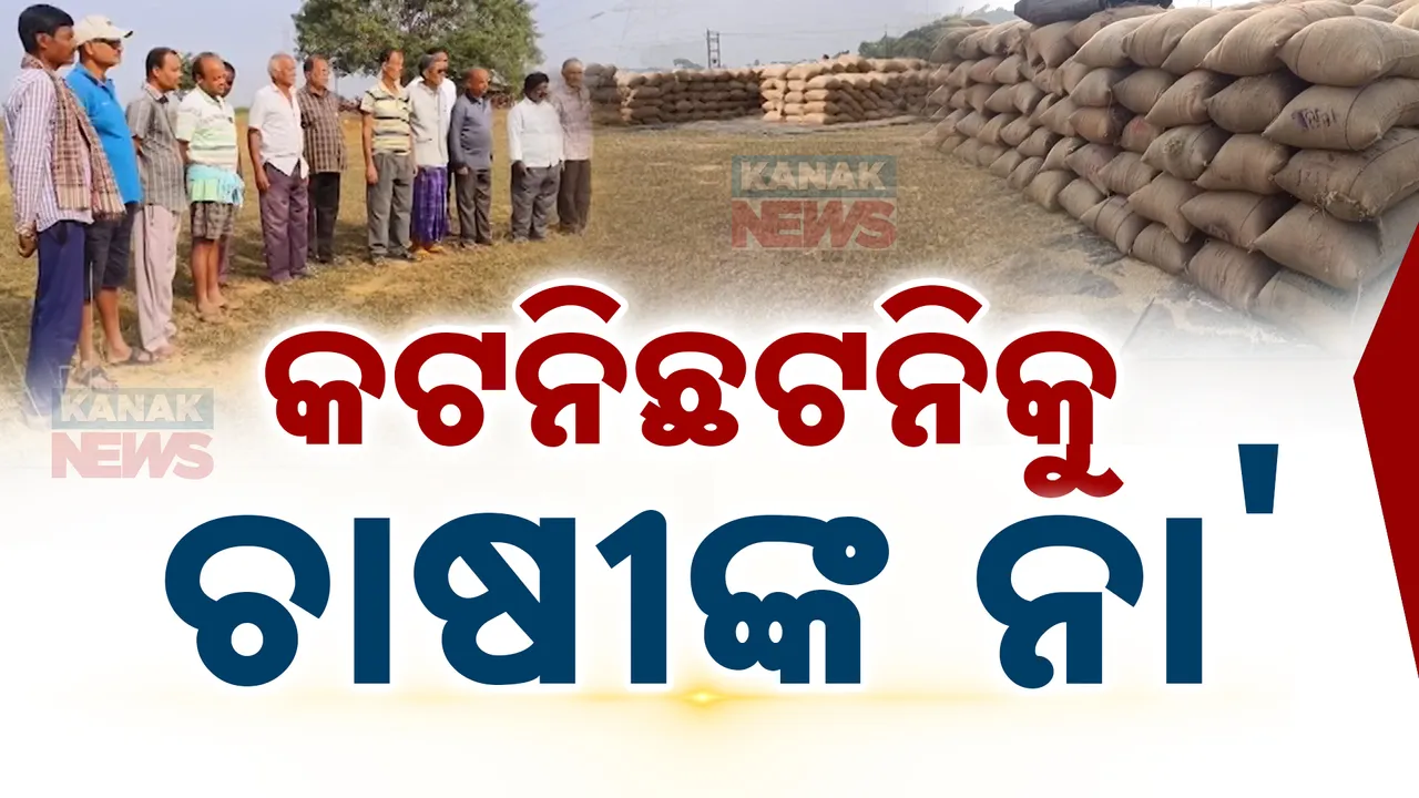  ମଣ୍ଡିରେ ଆରମ୍ଭରୁ ଅବ୍ୟବସ୍ଥା । ଯାଂଚ ଆଳରେ କଟନିଛଟନି ପାଇଁ ବାଧ୍ୟ କରୁଛନ୍ତି ମଣ୍ଡି କର୍ତୃପକ୍ଷ ଓ ମିଲର୍ସ..