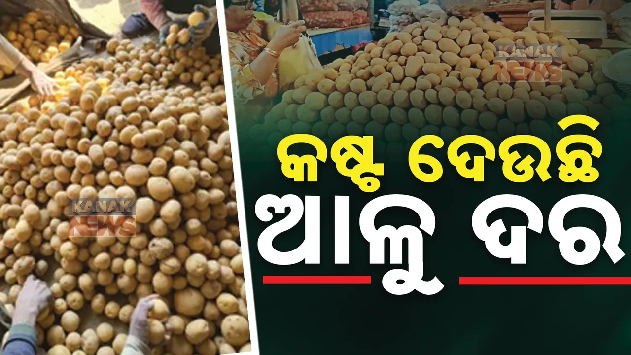  ଆଳୁଦରରେ ନାହିଁ ଲଗାମ : ବେଫିକର ଯୋଗାଣ ବିଭାଗ, ଚିନ୍ତାରେ ଖାଉଟି