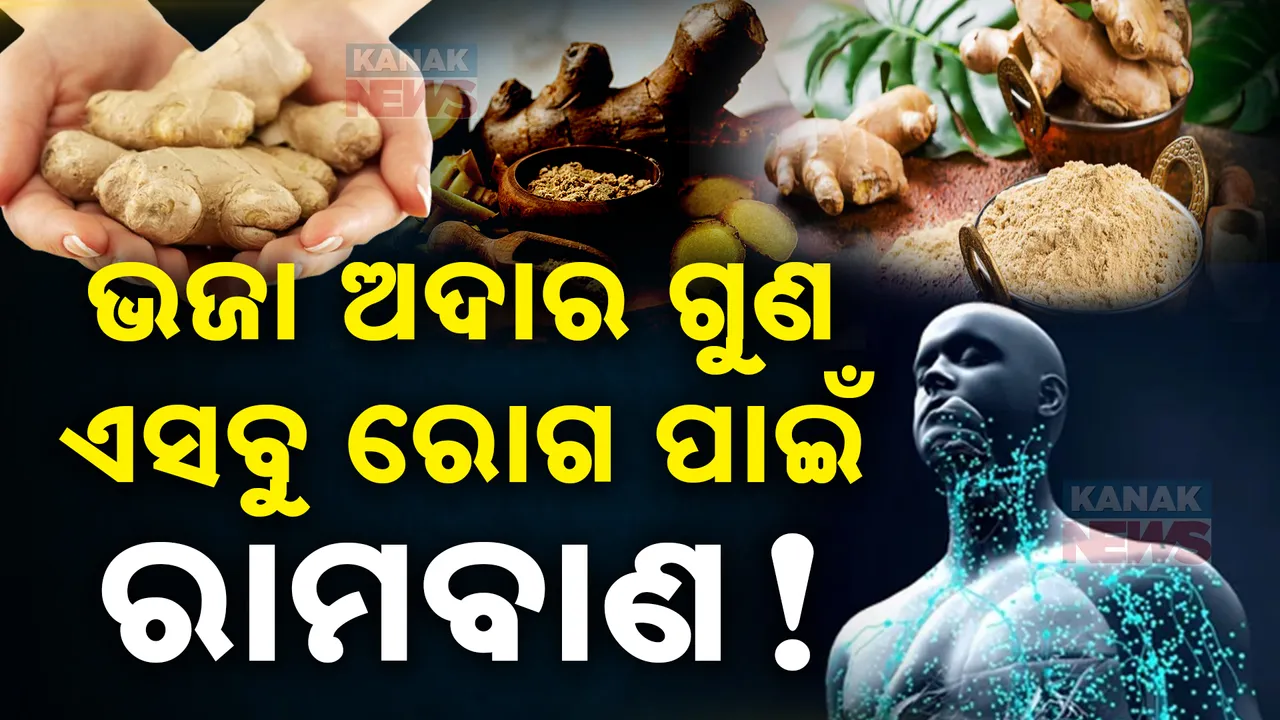  ଭଜା ଅଦାର ରହିଛି ଅନେକ ଚମତ୍କାରୀ ଗୁଣ, ଆଣ୍ଠୁ ଯନ୍ତ୍ରଣାରୁ ଦିଏ ମୁକ୍ତି ବଢାଏ ଶକ୍ତି