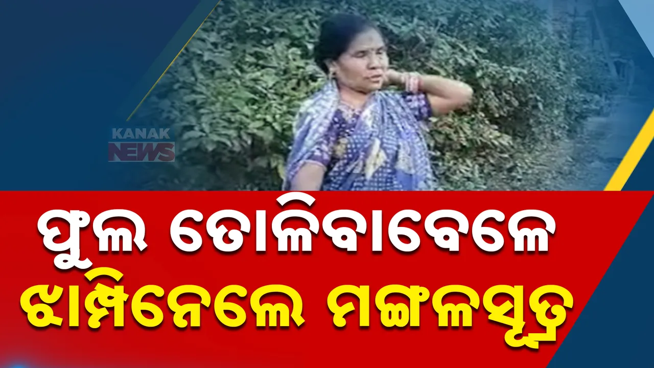  ଫୁଲ ତୋଳିବା ପଡିଲା ମହଙ୍ଗା : କୋରାପୁଟ ବୈପାରିଗୁଡ଼ା ମହିଳାଙ୍କ ବେକରୁ ମଙ୍ଗଳସୂତ୍ର ଝାମ୍ପି ନେଲେ ଦୁର୍ବୃତ୍ତ