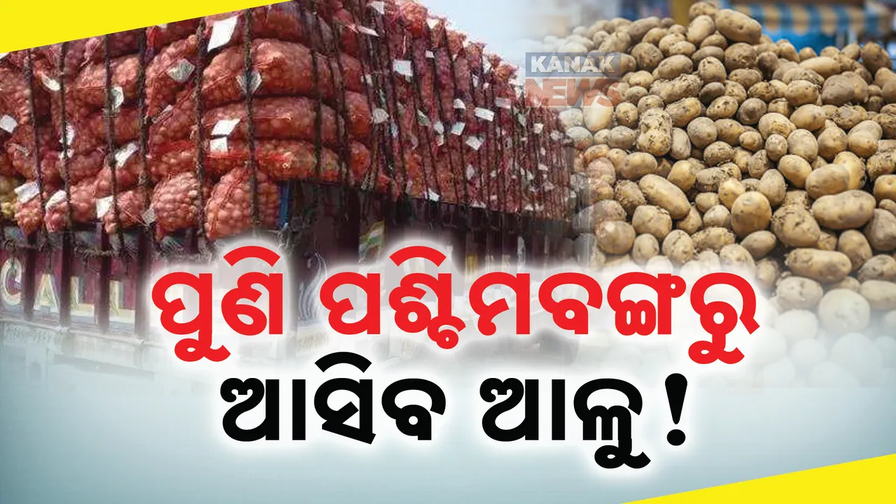  ପୁଣି ପଶ୍ଚିମବଙ୍ଗରୁ ଓଡ଼ିଶା ଆସିବ ଆଳୁ । ବ୍ୟବସାୟ ସଂଘ ଆନ୍ଦୋଳନରୁ ହଟିବା ପରେ ଫିଟିଲା ବାଟ