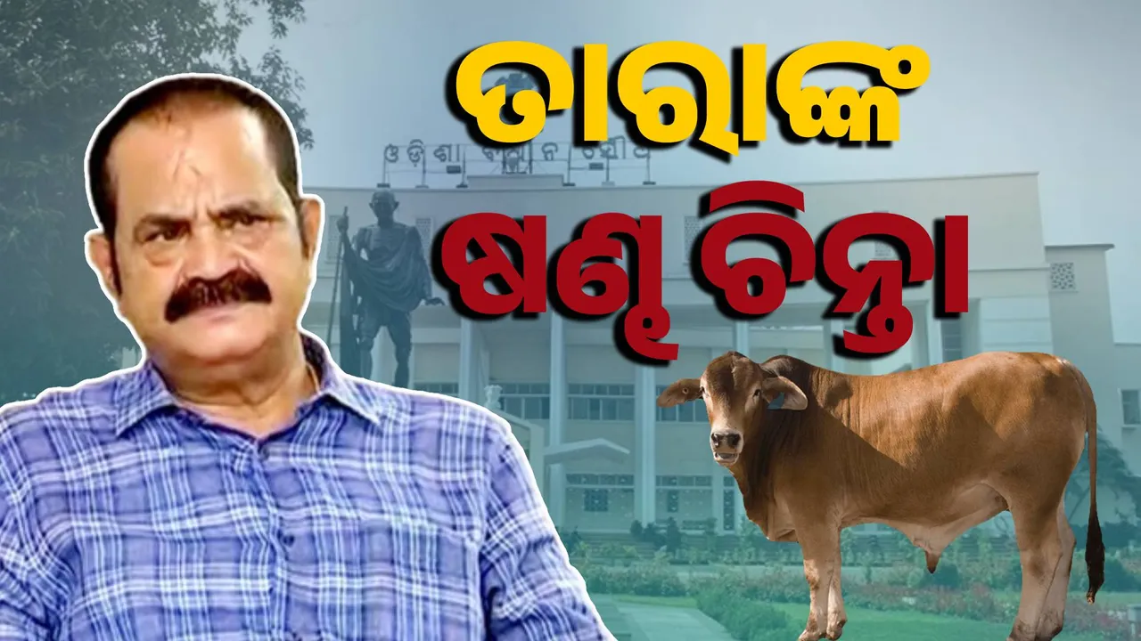  ବିଧାନସଭାରେ କଂଗ୍ରେସ ବିଧାୟକ ତାରା ବାହିନୀପତିଙ୍କ ଷଣ୍ଢ ଚିନ୍ତା । ପଚାରିଲେ ପ୍ରଶ୍ନ, ମନ୍ତ୍ରୀ ଉତ୍ତର ଦେଇ କହିଲେ....