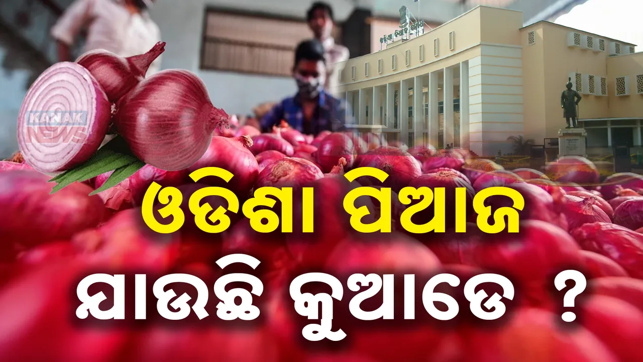 ଅଧିକ ଅମଳ ପରେ ବି, ଦର ଆକାଶ ଛୁଆଁ । କୁଆଡେ ଯାଉଛି ଓଡ଼ିଶା ପିଆଜ? ବିଧାନସଭାରୁ ମନ୍ତ୍ରୀ କହିଲେ...