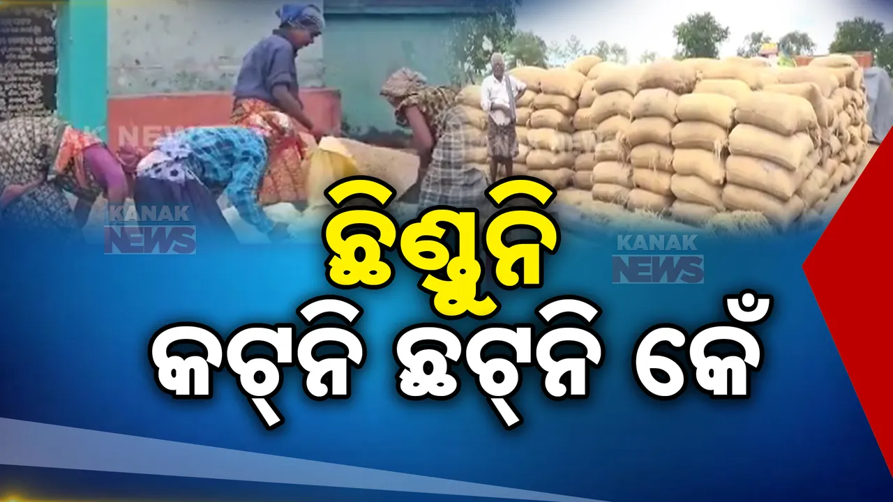  କୁଆଡେ ଯାଉଛି ମଣ୍ଡି ପରିଚାଳନା ପାଇଁ ଆସୁଥିବା ଟଙ୍କା? ମଣ୍ଡି ପରିଚାଳନା  ଓ କଟନି ଛଟନିକୁ ନେଇ ସମ୍ବଲପୁରରେ ବର୍ଷିଲା ଚାଷୀ ସଂଗଠନ ।