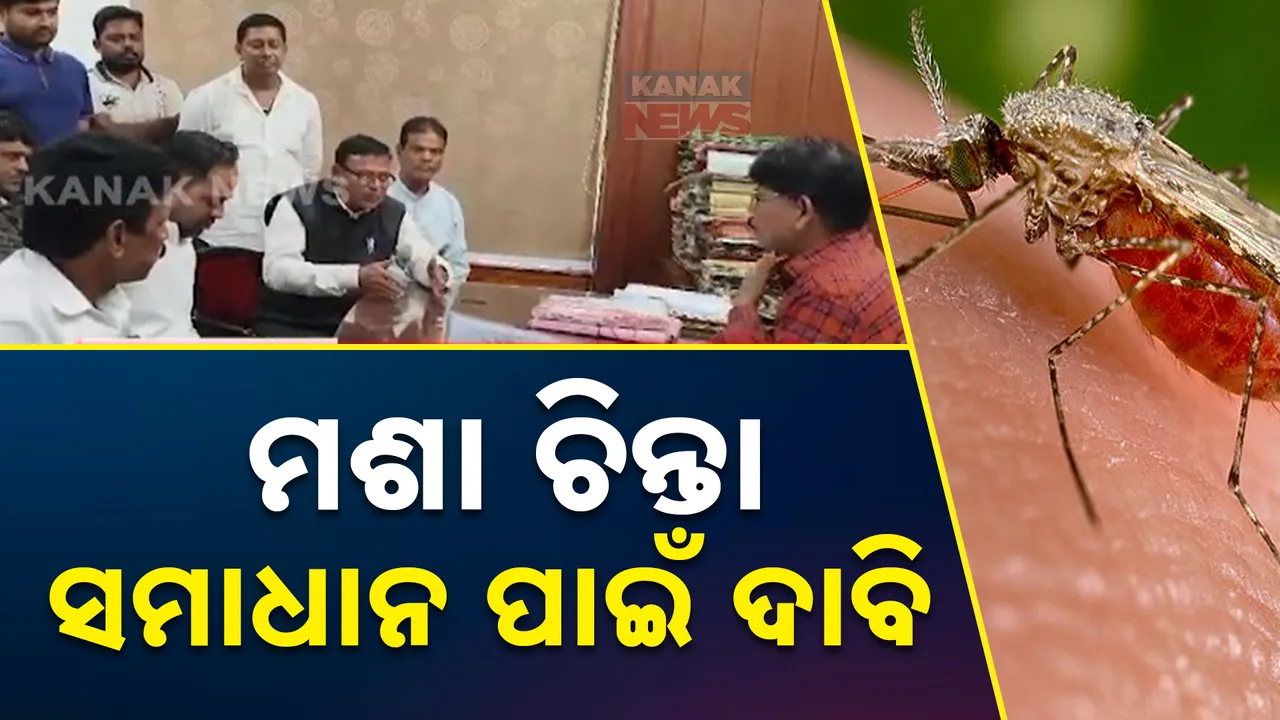  କଟକ: ମଶା ବଢାଉଛି ଚିନ୍ତା ,ମଶାତେଲ ପକାଇବାରେ ଅନିୟମିତତା ଅଭିଯୋଗ । ସିଏମସି କହିଲେ ନିଆଯାଉଛି ପଦକ୍ଷେପ