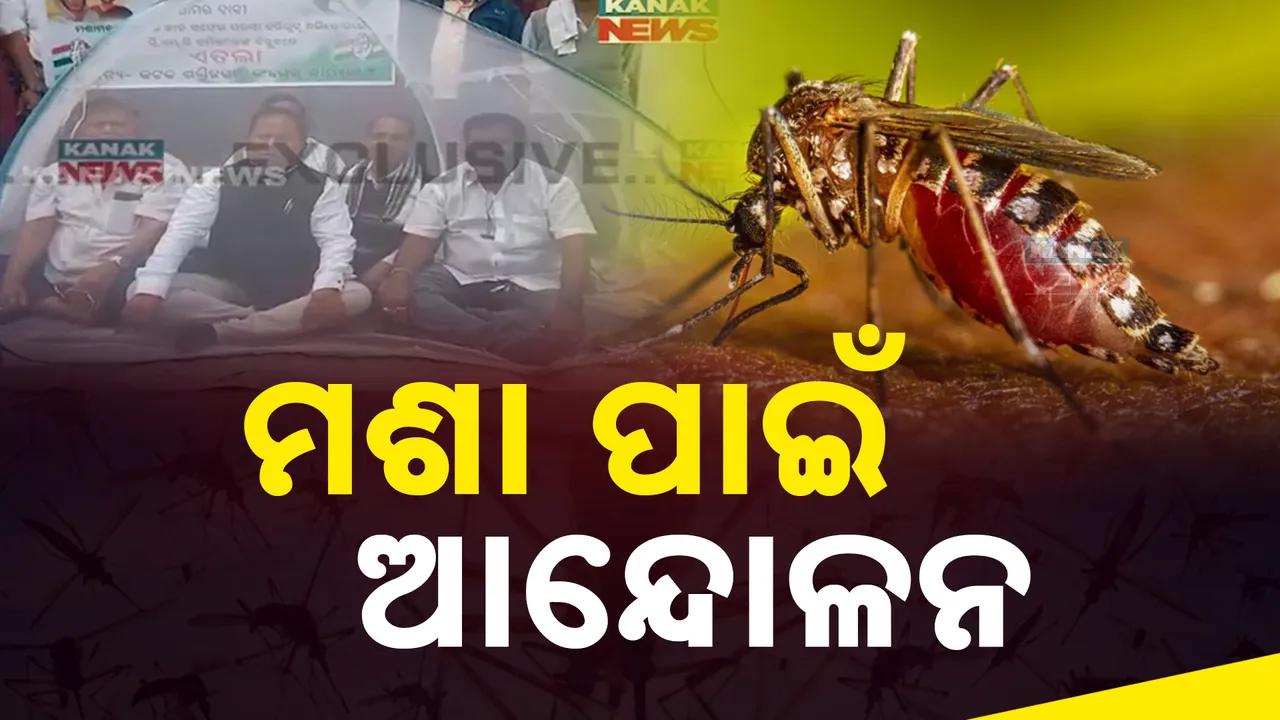  ମଶା ପାଇଁ ପ୍ରତିବାଦ ; ରାସ୍ତାରେ ମଶାରୀ ଟାଙ୍ଗି ସମସ୍ୟା ଜଣାଇଲେ କଂଗ୍ରେସ କର୍ମୀ