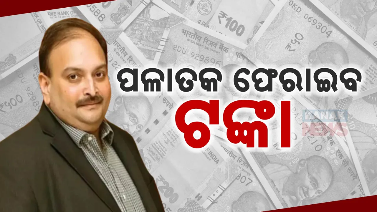  ପଳାତକ ମେହୁଲ ଚୌକସି ମୁଣ୍ଡରେ ଚଡକ । ନିଲାମ ହେବ ୨୫୬୪ କୋଟି ଟଙ୍କାର ସମ୍ପତ୍ତି